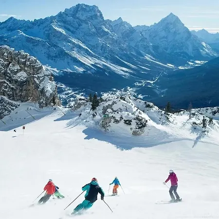Cervo Felice * Belluno