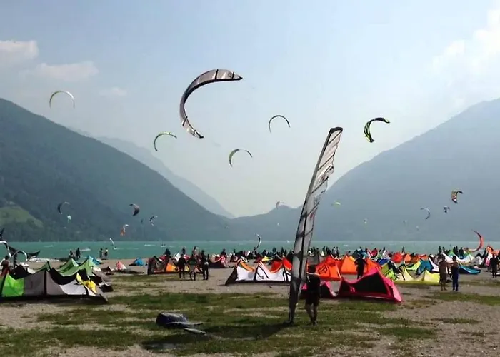 Cervo Felice * Belluno