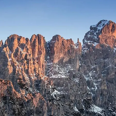 Cervo Felice
