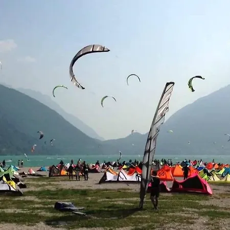 Cervo Felice * Belluno